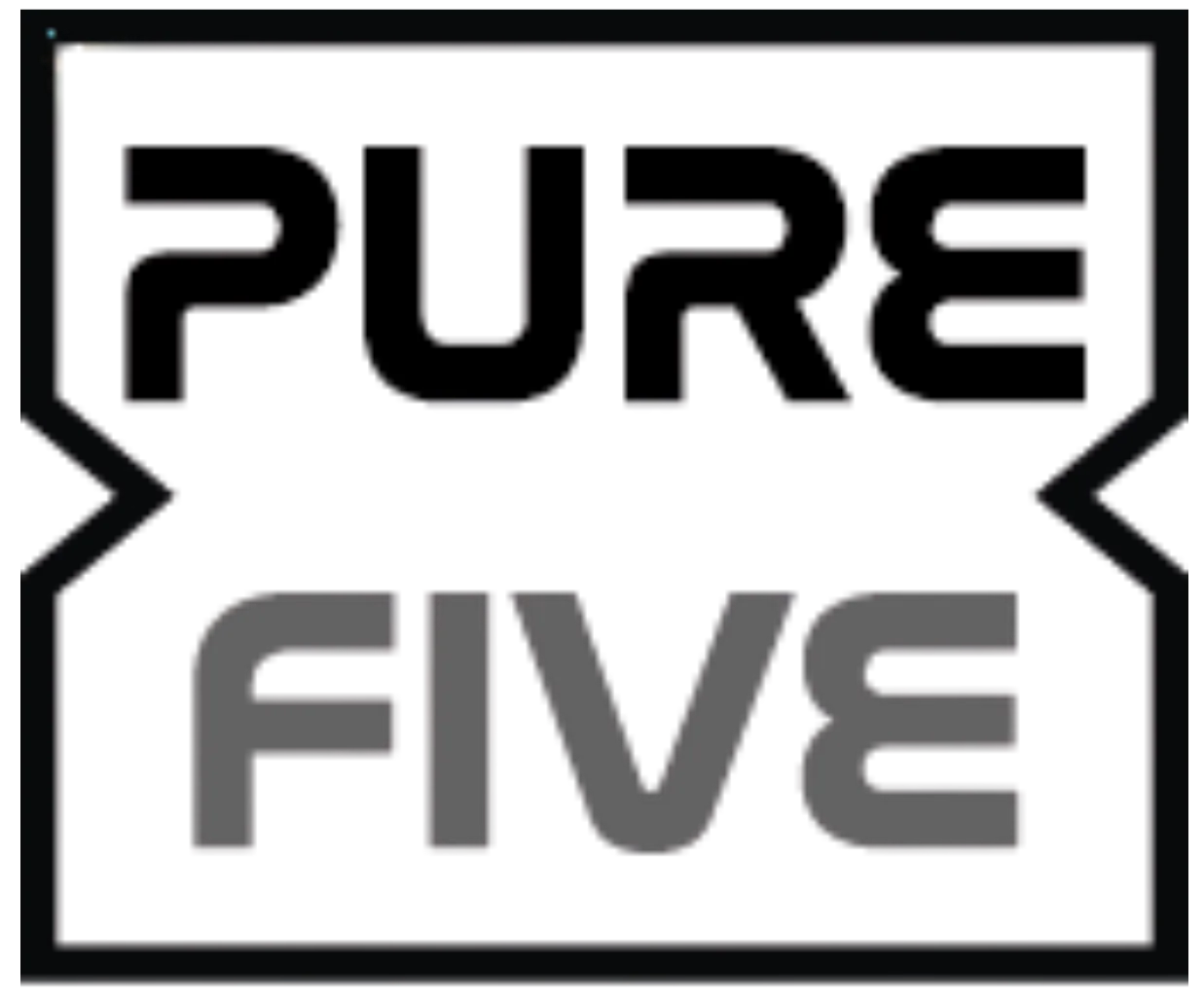 PURE FIVE Logo